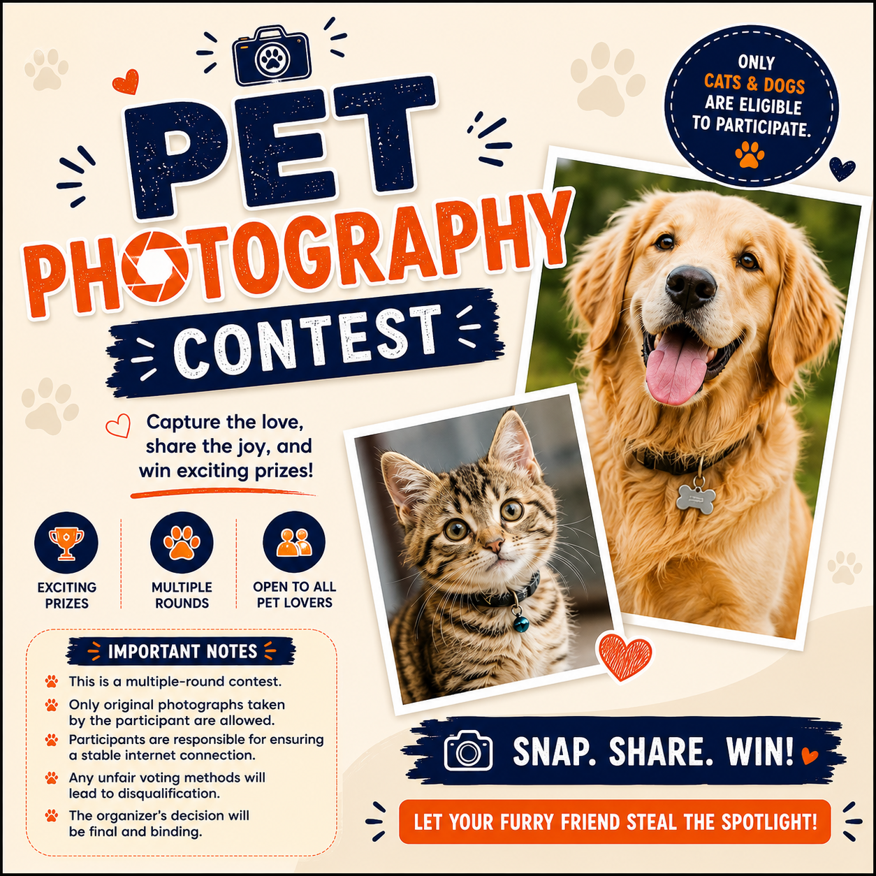 Pet Photography